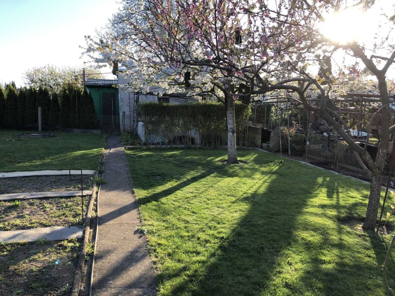 Działka rod Szczecin Bukowe, ul. Bogumińska. Zdjęcie 2