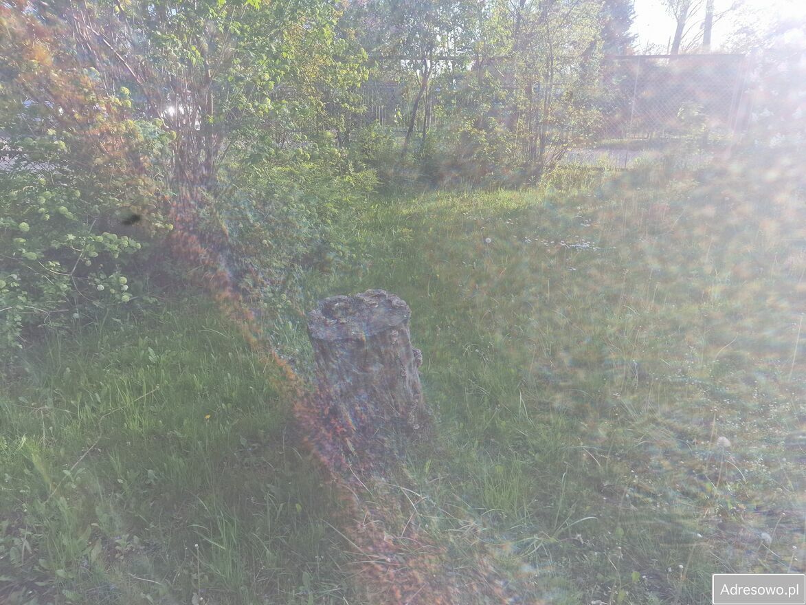 Działka rod Rzeszów, ul. Ciepłownicza. Zdjęcie 10