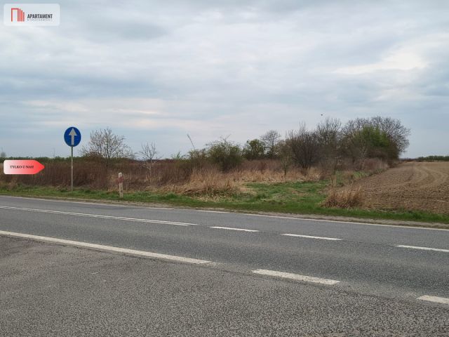Działka rolna Oleśnica. Zdjęcie 1