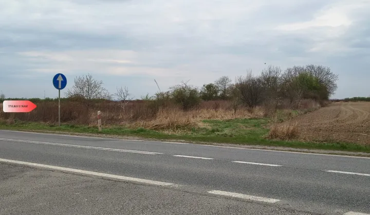 Działka rolna Oleśnica