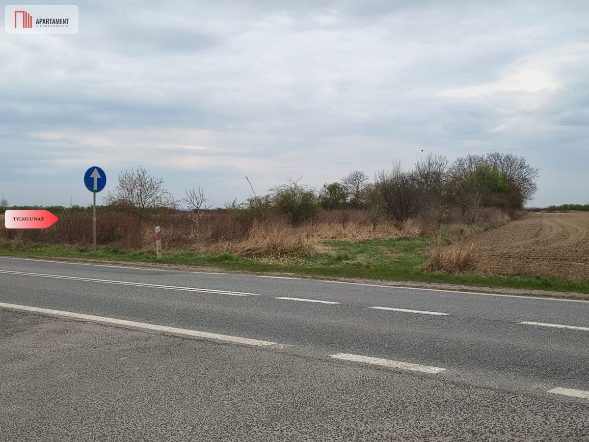 Działka rolna Oleśnica. Zdjęcie 1