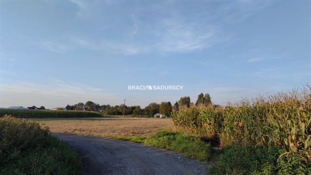 Działka budowlana Wołowice. Zdjęcie 19