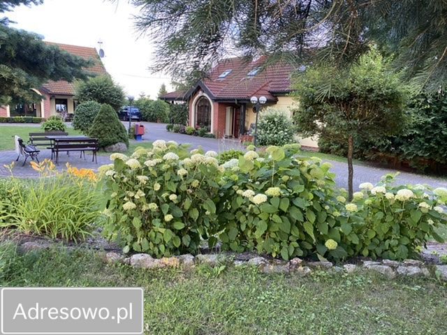 siedlisko Najdymowo. Zdjęcie 16