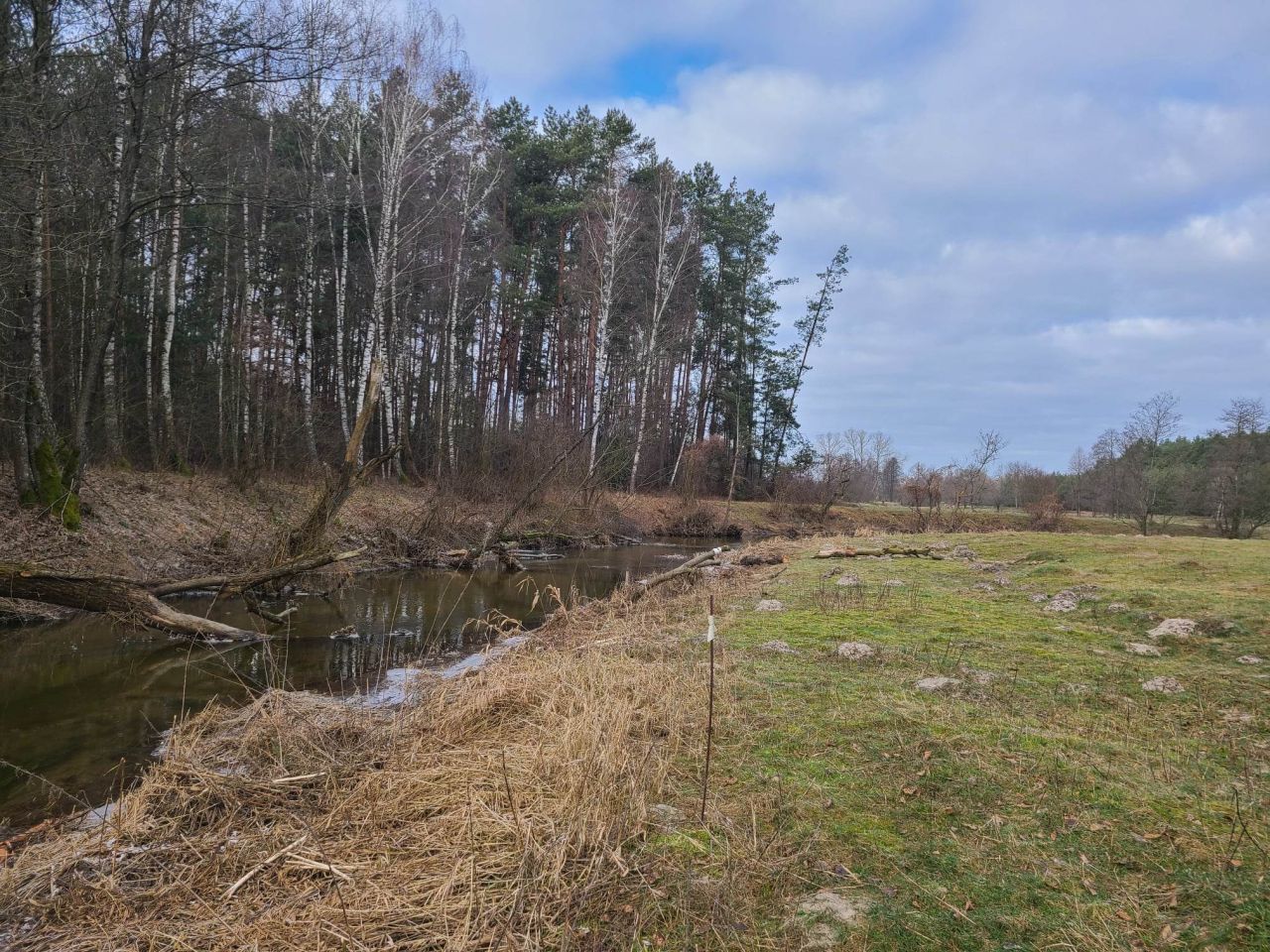 Działka inna Pełch. Zdjęcie 4