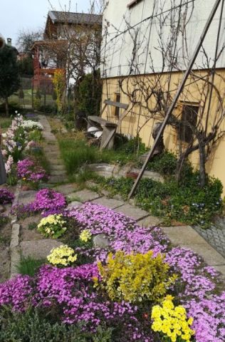 Działka rekreacyjna Gdańsk Jasień. Zdjęcie 1