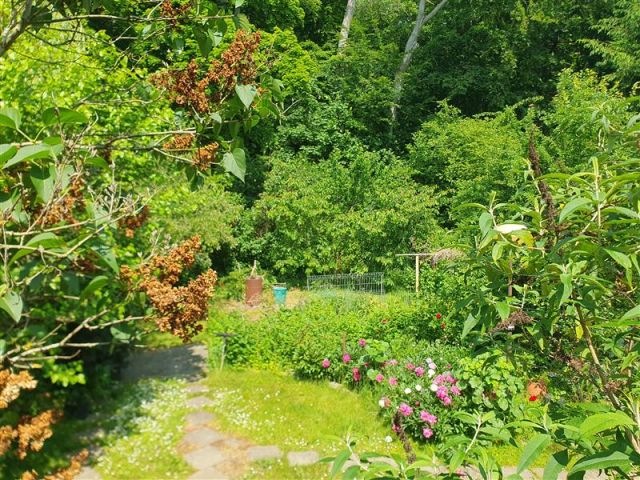 Działka budowlana Gdańsk Wrzeszcz, ul. Jaśkowa Dolina. Zdjęcie 11