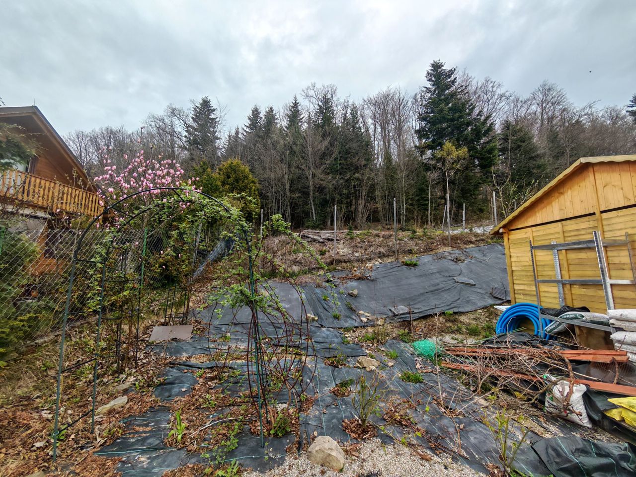 Działka budowlana Pasierbiec. Zdjęcie 9