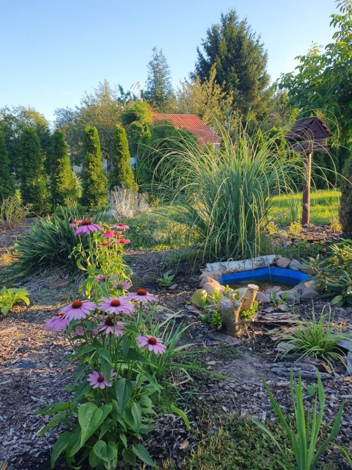 Działka rod Zielona Góra. Zdjęcie 7