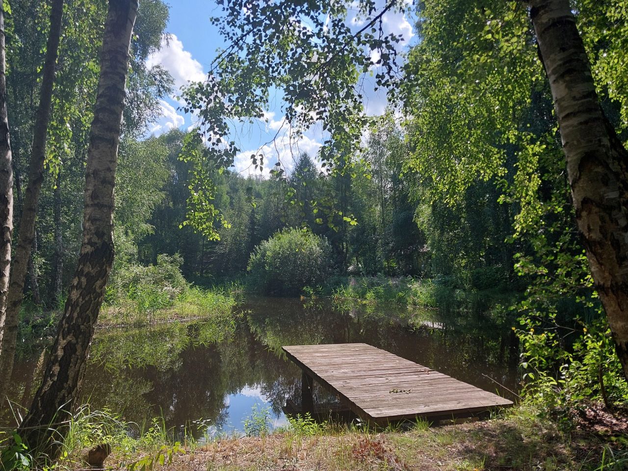 Działka budowlana Starzykowo. Zdjęcie 12