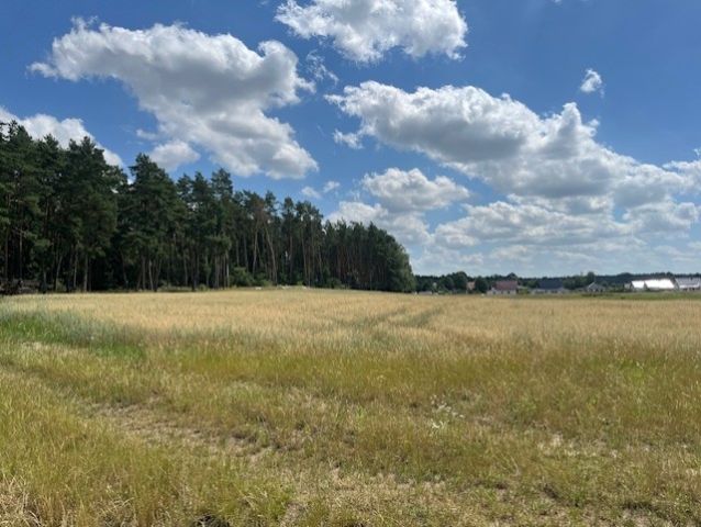 Działka budowlana Podańsko, ul. Radosna. Zdjęcie 1