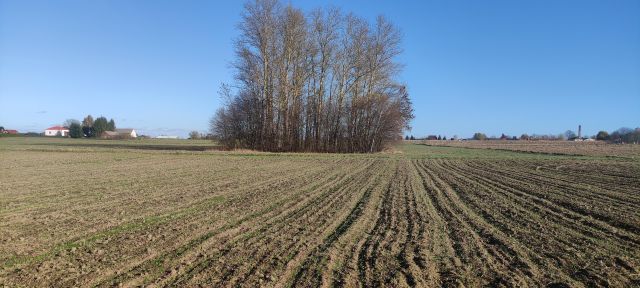 Działka budowlana Szopinek Stara Wieś. Zdjęcie 1