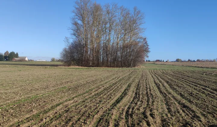 Działka budowlana Szopinek Stara Wieś