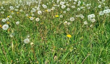 gospodarstwo Zarównie