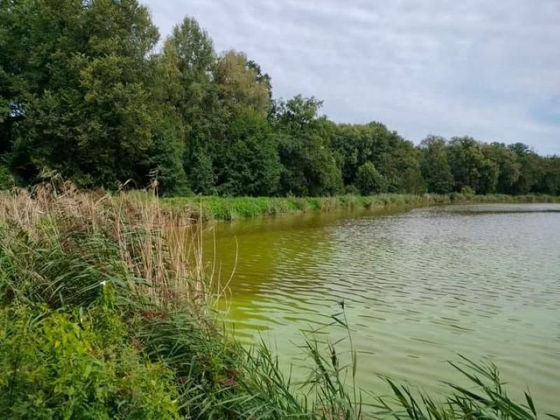 dom letniskowy, 3 pokoje Boguszyce. Zdjęcie 12