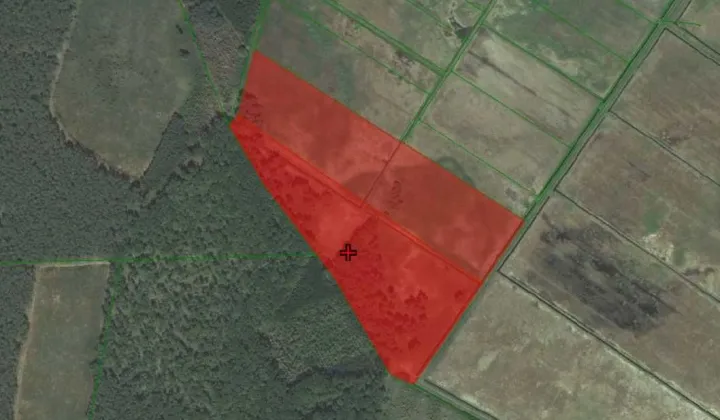 Działka rolna Kowalewo