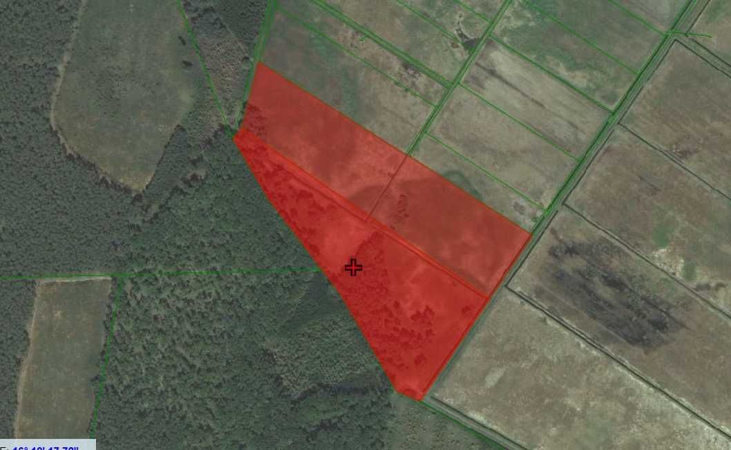 Działka rolna Kowalewo. Zdjęcie 1