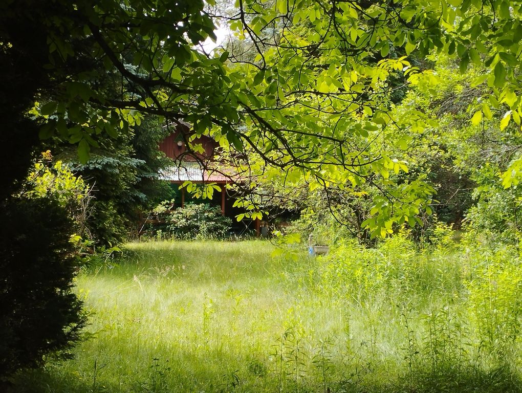Działka budowlana Zaręby. Zdjęcie 2