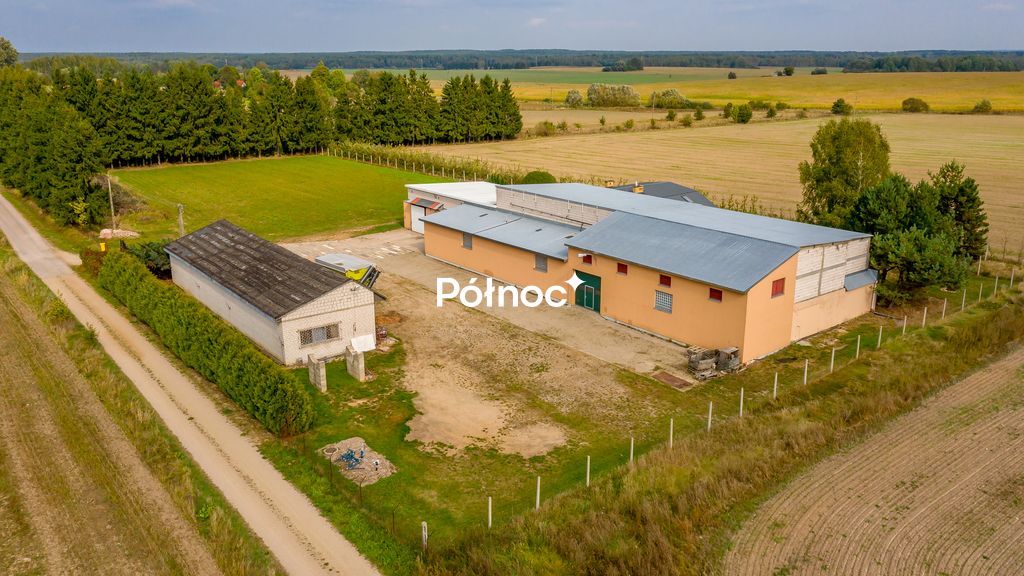 Zdjęcie 3
