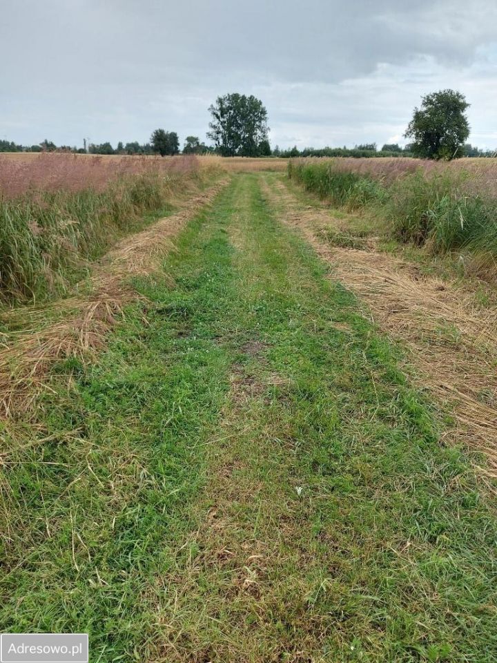 Działka budowlana Łódź Górna, ul. Kolumny. Zdjęcie 6