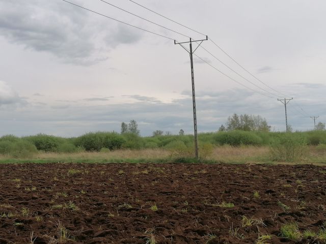 Działka rolna Wierzbowa. Zdjęcie 1