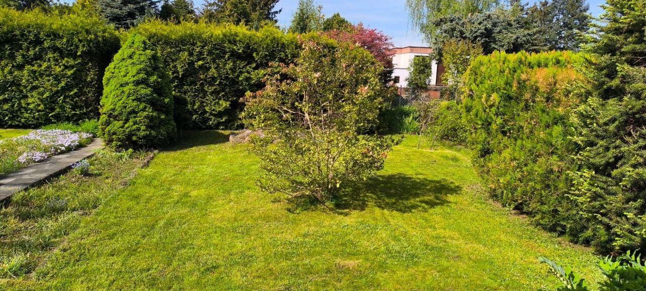 Działka rod Poznań Ławica. Zdjęcie 5