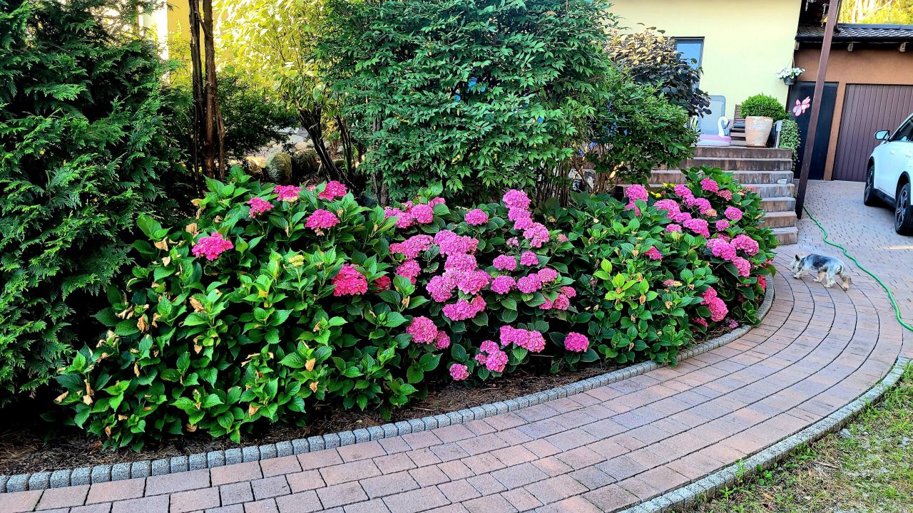 dom wolnostojący, 4 pokoje Kobyla Góra Onufry, ul. Wojska Polskiego. Zdjęcie 11