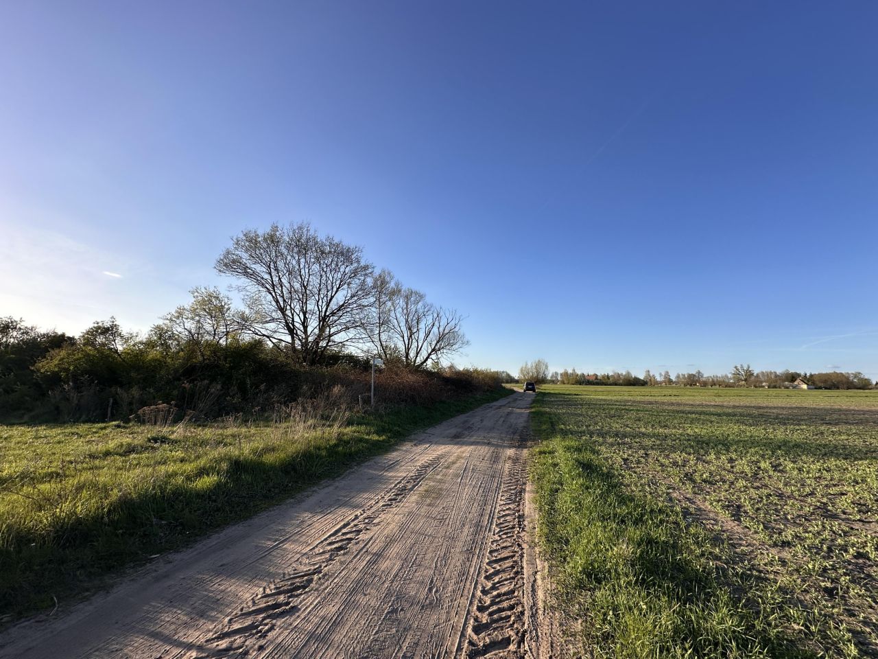 Działka budowlana Gościmiec. Zdjęcie 10