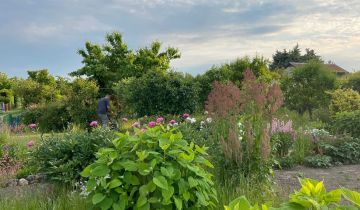 Działka rod Grzybiany