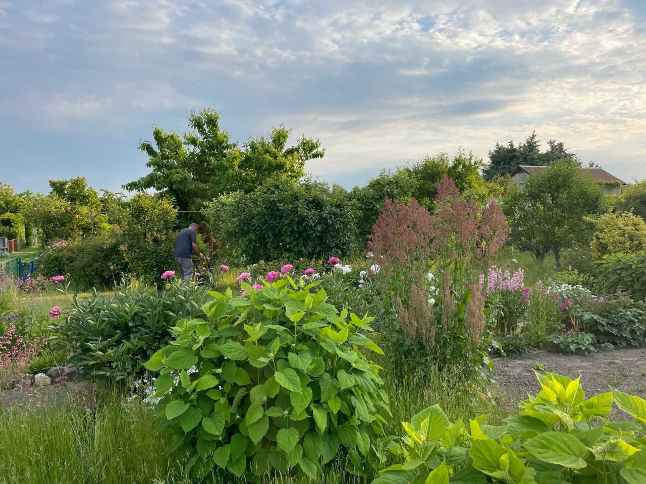 Działka rod Grzybiany. Zdjęcie 2