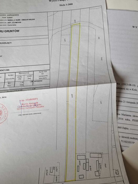 Działka rolna Cichmiana. Zdjęcie 2