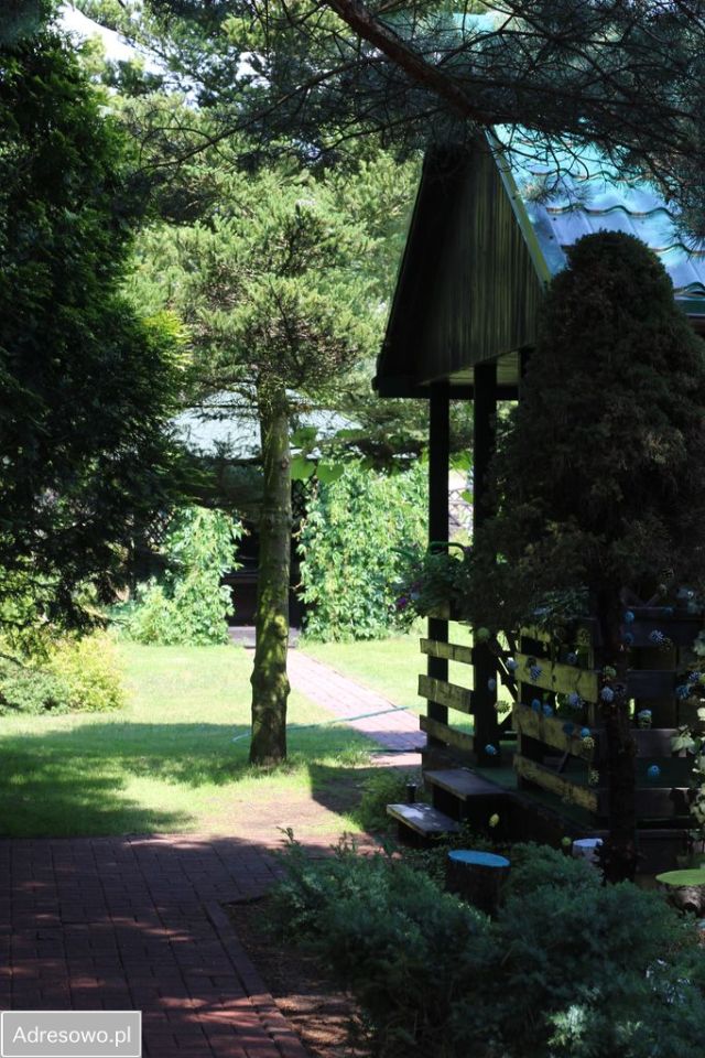 Działka rekreacyjna Ostrowo. Zdjęcie 12