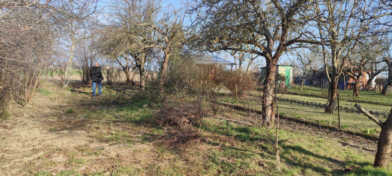 Działka rod Sierpc, ul. Piotra Ściegiennego. Zdjęcie 9