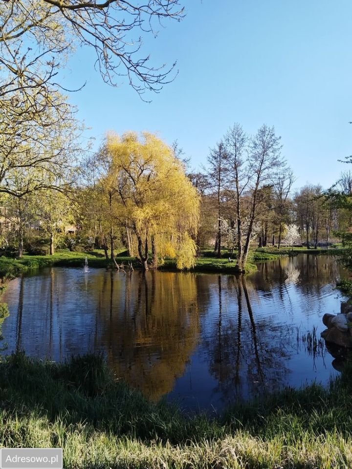 Mieszkanie 2-pokojowe Skarbimierzyce. Zdjęcie 12