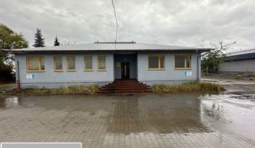 Biuro do wynajęcia Toruń Mokre ul. Mazowiecka 174 m2
