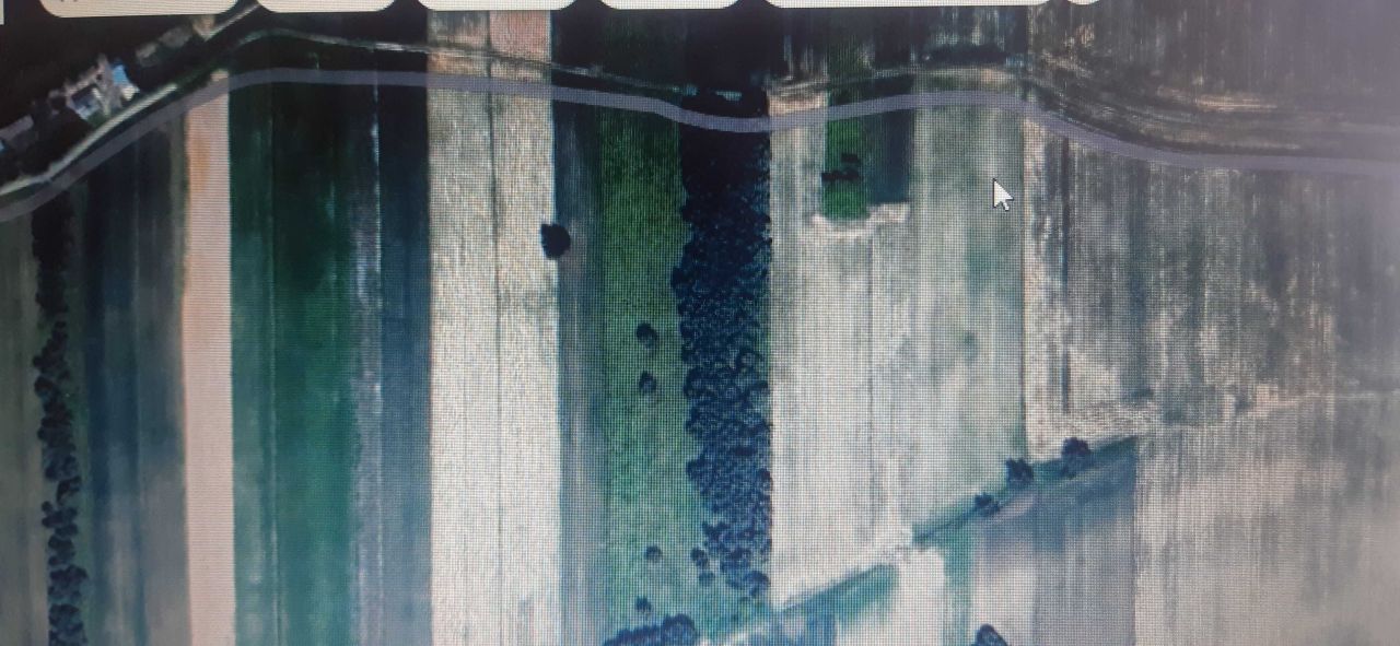 Działka rolna Lesieniec. Zdjęcie 3