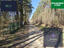 Działka budowlana Nowe Załubice, ul. Szumiących Traw
