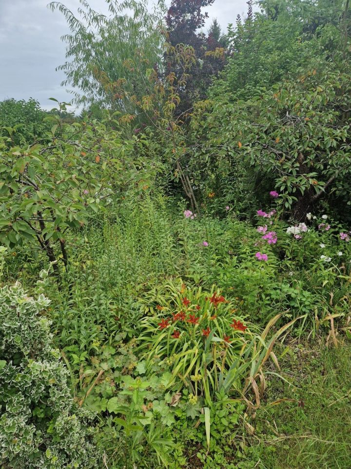 Działka rod Zielona Góra Jędrzychów. Zdjęcie 5