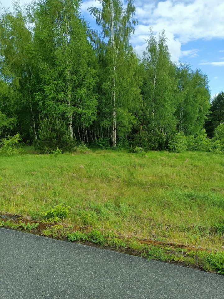 Działka rolno-budowlana Nowe Byliny. Zdjęcie 2