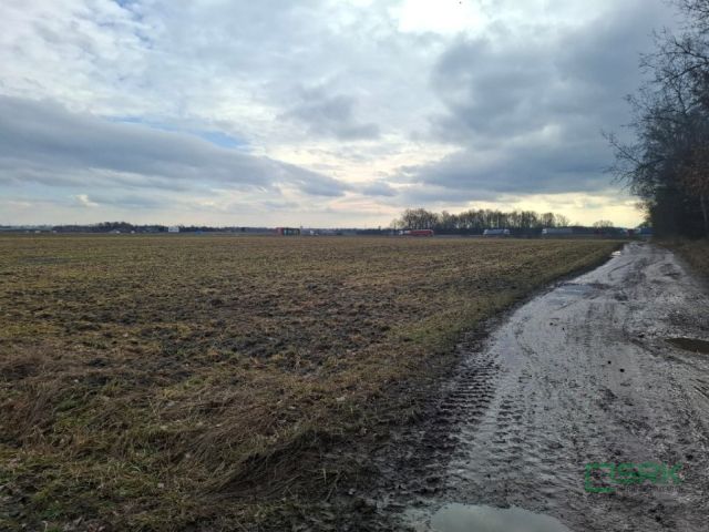 Działka inna Gliwice, ul. Ku Dołom. Zdjęcie 2