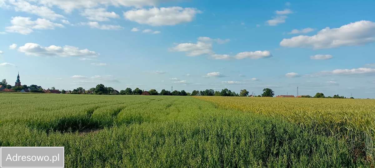 Działka budowlana Stara Góra. Zdjęcie 14