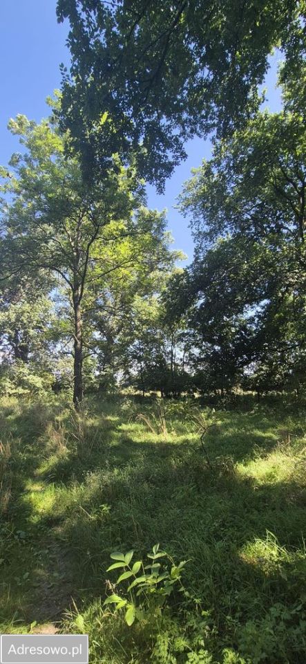 Działka rolno-budowlana Lekaszyn. Zdjęcie 3