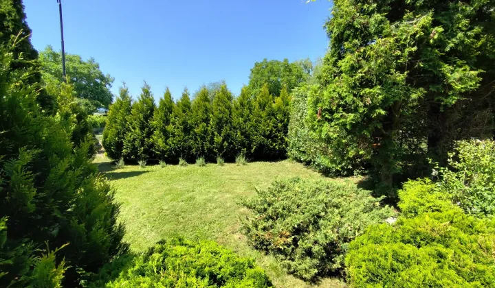 Działka rod Wadowice