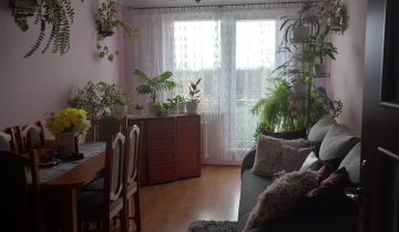 Mieszkanie 3-pokojowe Trzebień