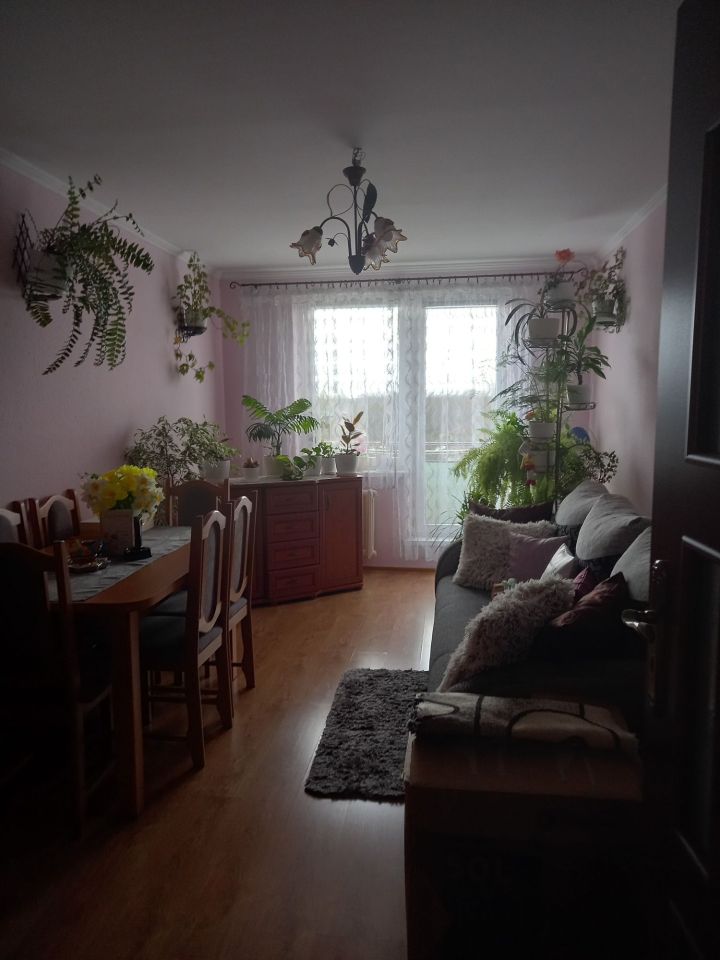 Mieszkanie 3-pokojowe Trzebień