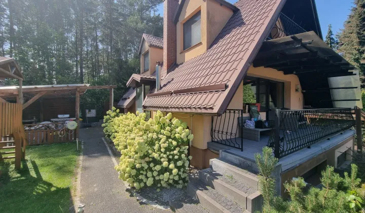 dom wolnostojący, 6 pokoi Borkowo, ul. Karlikowska