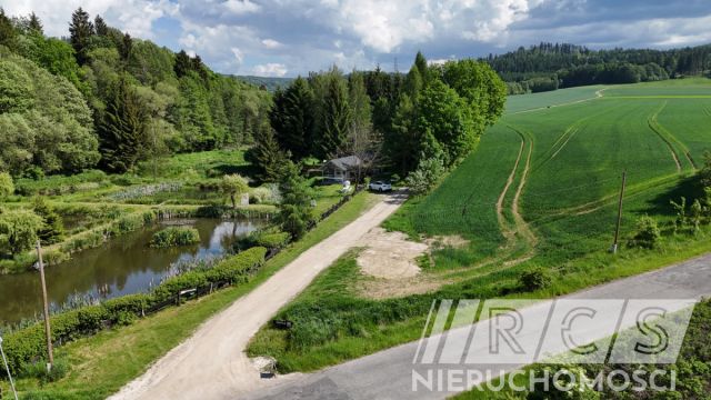 Lokal Trzebieszowice. Zdjęcie 2
