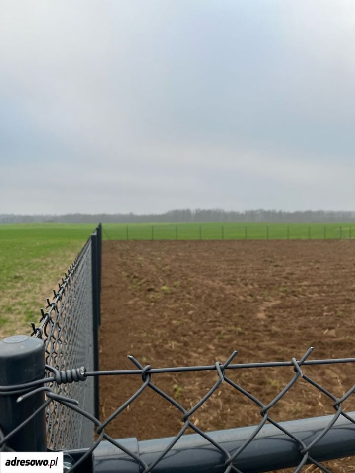 Działka budowlana Łopuchowo. Zdjęcie 6