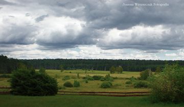 Działka rolno-budowlana Zgon, Zgon