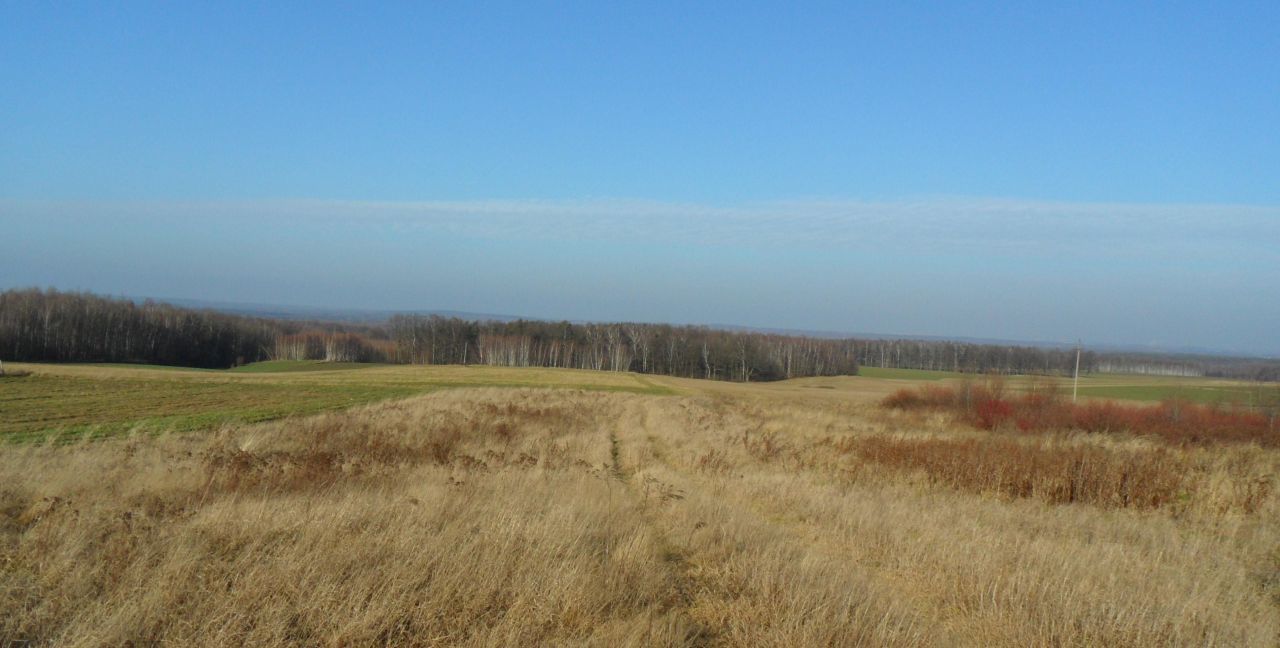 Działka budowlana Mzyki, ul. Polna. Zdjęcie 2