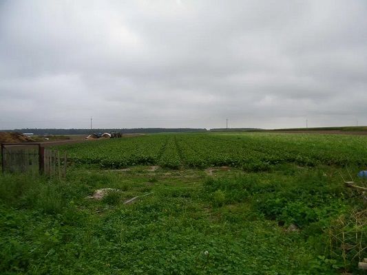 Działka budowlana Zawidowice. Zdjęcie 1